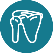 Shoulder Replacement 