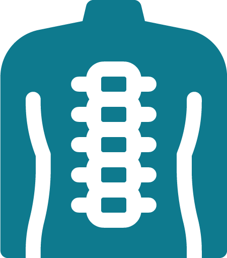 spine 